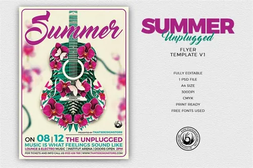 快乐的夏天海报模板 Summer Unplugged Flyer