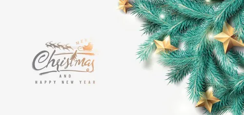 圣诞树冷杉树枝写实风格圣诞节新年促销海报EPS矢量模板素材