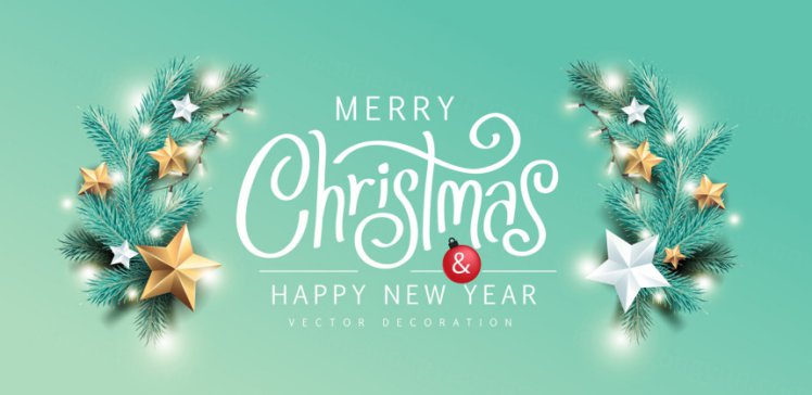 圣诞树冷杉树枝写实风格圣诞节新年促销海报EPS矢量模板素材