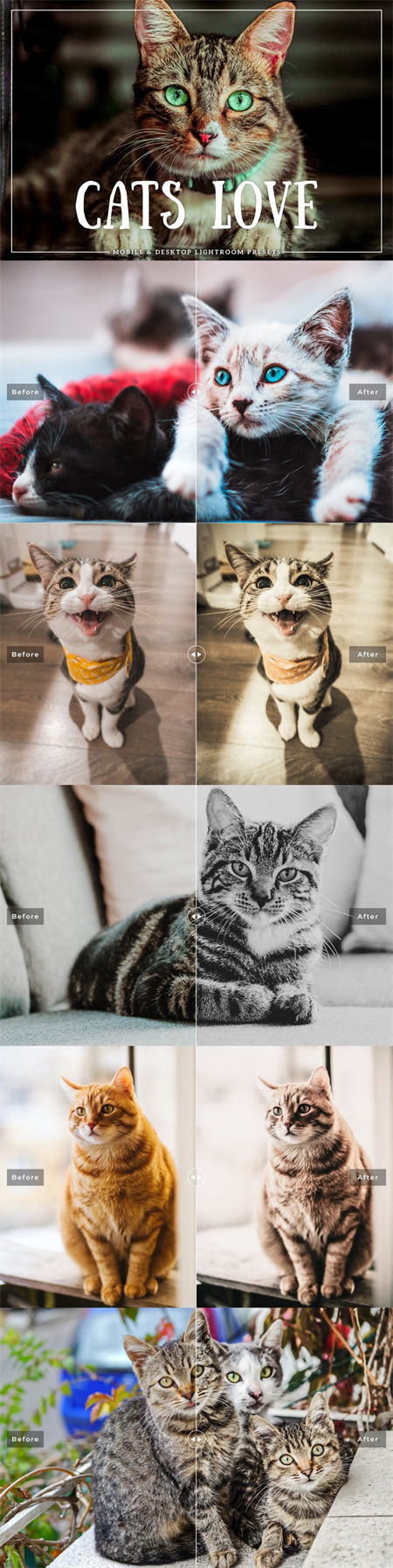 宠物动物摄影滤镜预设