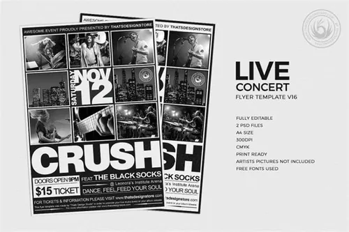 现场音乐会海报模板 Live Concert Flyer