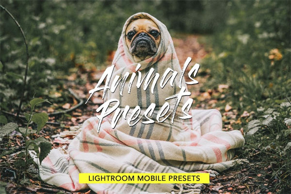 动物宠物lightroom滤镜Presets Bundle