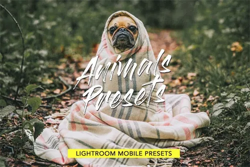 动物宠物lightroom滤镜Presets Bundle