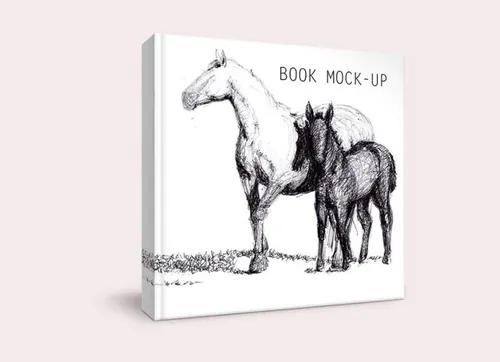 书籍模型PSD贴图模板Book Cover Mockup Vol020