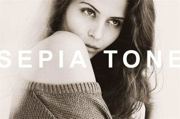 高端时尚艺术人像预设Sepia Lightroom