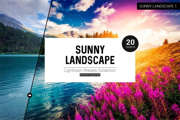 风景预设,风景照片滤镜预设Sunny Landscape