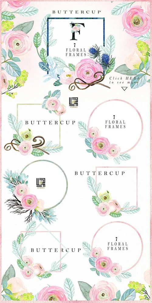 手绘水彩毛茛花卉植物设计素材Buttercups. Ranu