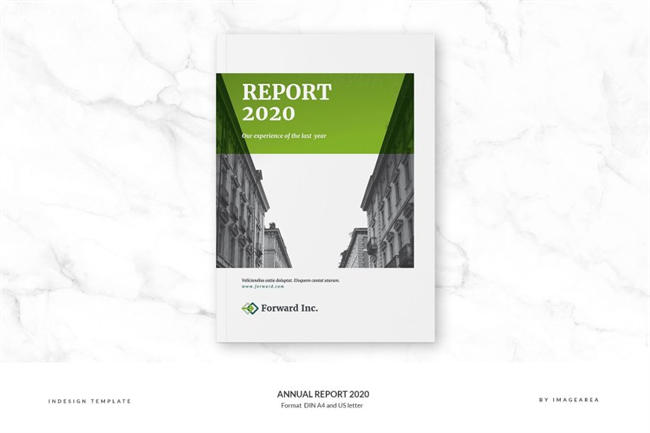年度汇报画册模板 Annual Report