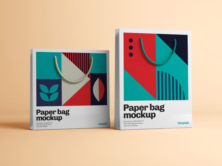 服装品牌购物纸袋手提袋包装设计提案样机PSD模板 Paper bag mockup