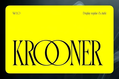 优雅精致的品牌设计海报排版英文衬线字体 Nois - Kro