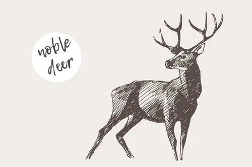复古手绘麋鹿设计素材Illustration of a deer