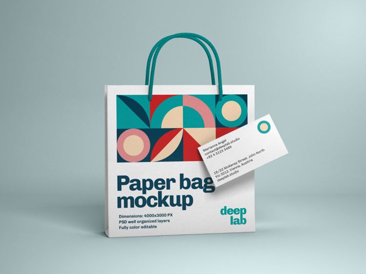 购物纸袋手提袋名片品牌设计提案样机PSD模板 Paper bag with business card