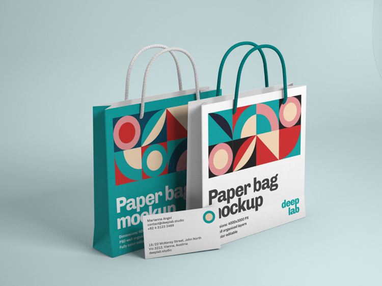 购物纸袋手提袋名片品牌设计提案样机PSD模板 Paper bag with business card