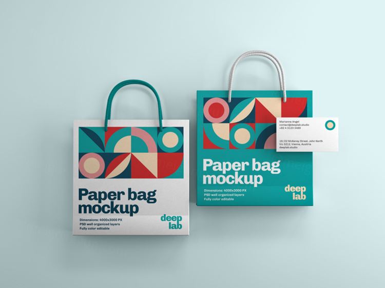 购物纸袋手提袋名片品牌设计提案样机PSD模板 Paper bag with business card