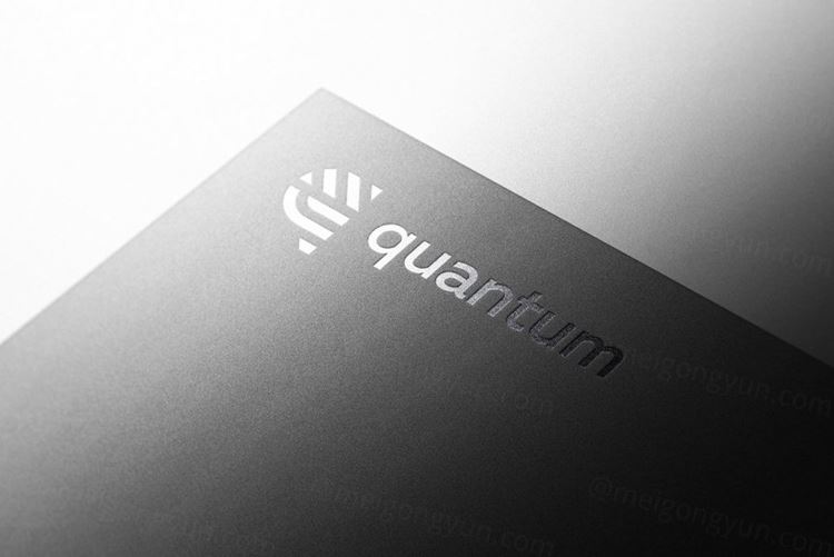 高品质UV压印烫金烫银LOGO商标提案样机模板 Logo M