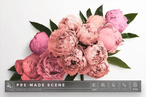 牡丹花卉场景样机 Floral Peonies Mockup Scene