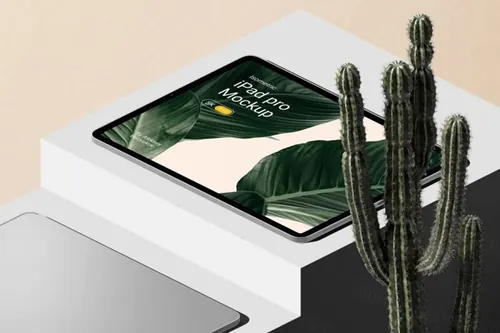 苹果平板电脑贴图展示样机模板 iPad Pro With Cactus Mockup V1 Isometric