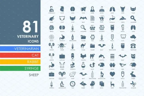 兽医图标 81 veterinary icons
