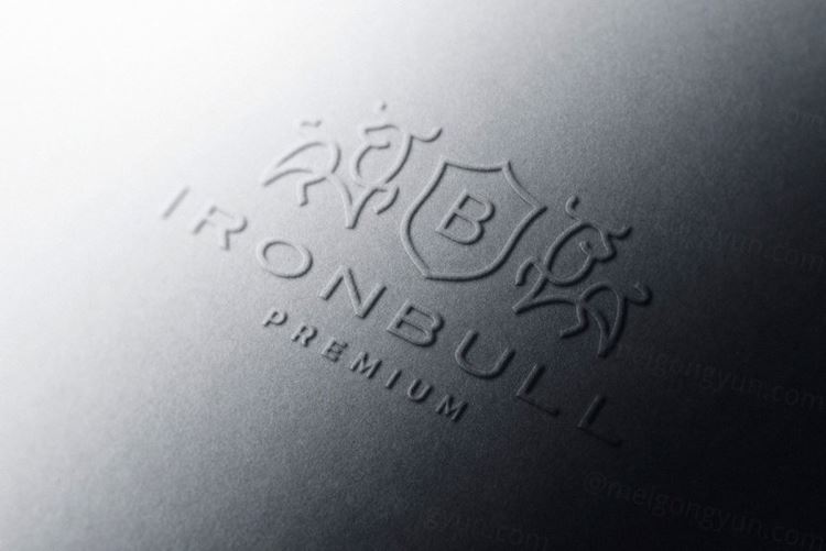 高品质浮雕起凸工艺LOGO设计提案样机模板 Logo Moc