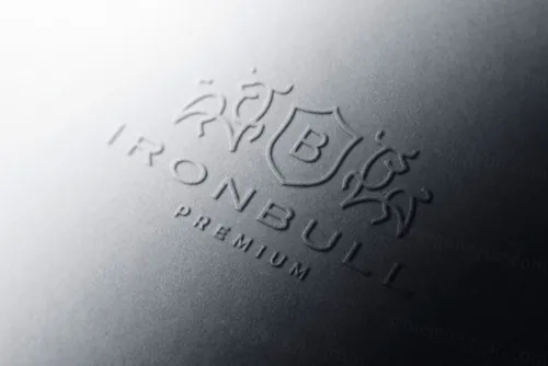 高品质浮雕起凸工艺LOGO设计提案样机模板 Logo Moc