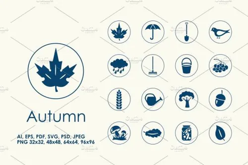 16个关于秋天的简单图标 16 Autumn simple icons