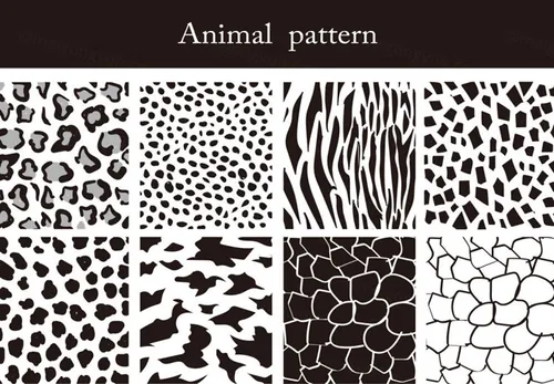 单色黑灰多款豹纹矢量背景底纹