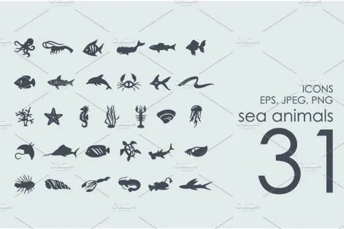 海洋生物图标 31 sea animals icons