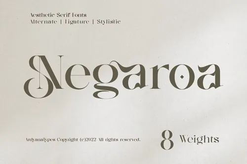 优雅经典美学品牌设计海报杂志排版英文衬线字体 Negaroa