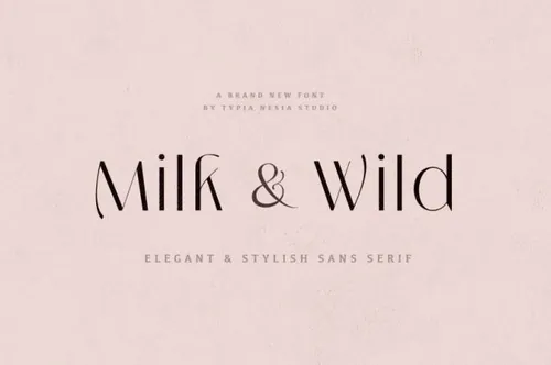 优雅时尚女性化妆品奢华杂志海报排版字体 Milk and Wild - Elegant Stylish