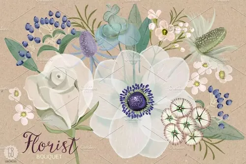 淡雅水彩海葵花束插画 Watercolor florist