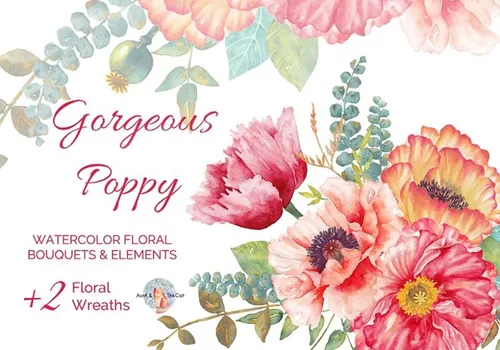 手绘水彩花卉设计素材Gorgeous Poppy Water