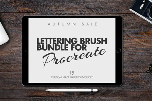 毛笔笔刷素材（iPad专供）AUTUMN BRUSH BUNDLE(p