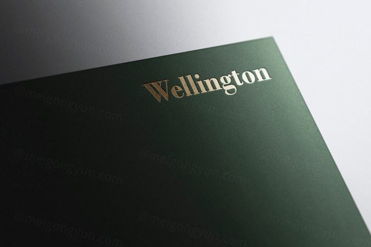 高品质UV压印烫金烫银工艺LOGO设计提案样机模板 Logo