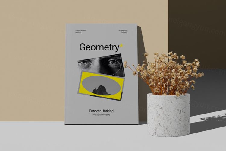 A4杂志画册设计提案样机模板 A4 Magazine Cover Mockup With Dry Plant Front View