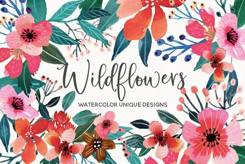 艳丽手绘野花水彩插画集Wildflowers-Waterco