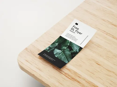 DL单页传单宣传设计提案样机PSD模板 DL flyer mockup