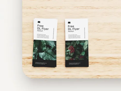 DL单页传单宣传设计提案样机PSD模板 DL flyer mockup