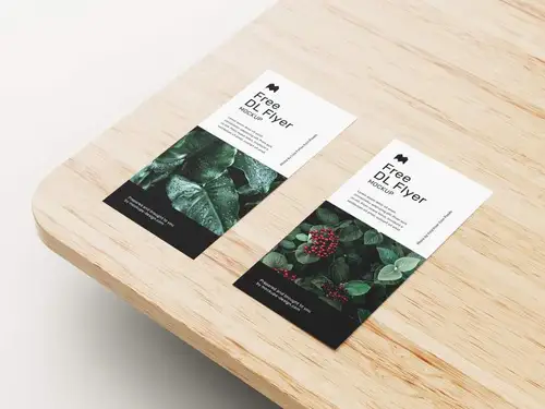 DL单页传单宣传设计提案样机PSD模板 DL flyer mockup 样机模版