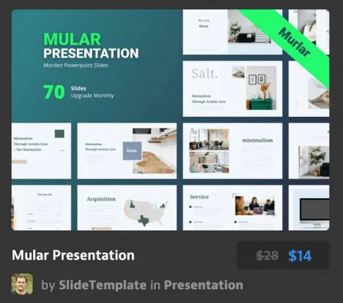 电子商务网站搭建场景插画网站Mular Presentation