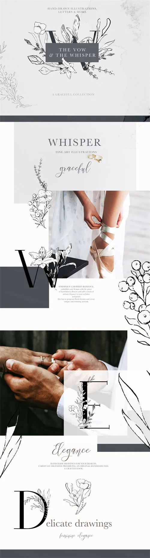 时尚优雅的花卉素材 Floral Alphabet amp;amp Illustrations