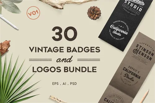 复古徽标Logo设计模板 Vintage Badges and Logos Bundle
