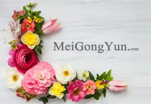 春季美丽花卉边框高清背景Spring Beautiful Floral