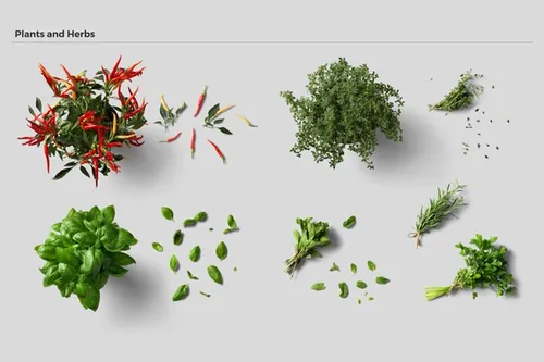 食物食材餐饮高清PSD分层素材-1(20)