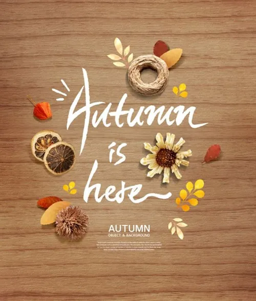 秋天季节海报背景图片psd素材