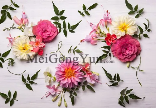 春季美丽花卉边框高清背景Spring Beautiful Floral