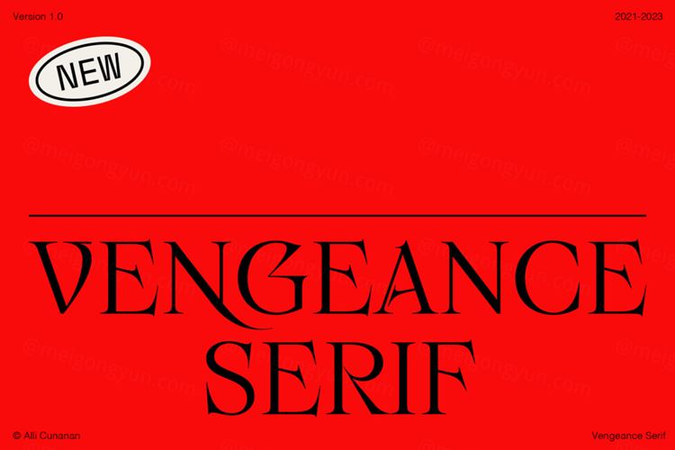 高质量精致尖锐衬线品牌VI设计英文衬线字体素材 Alli C