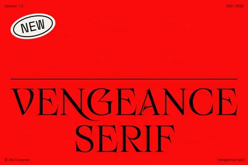 高质量精致尖锐衬线品牌VI设计英文衬线字体素材 Alli C