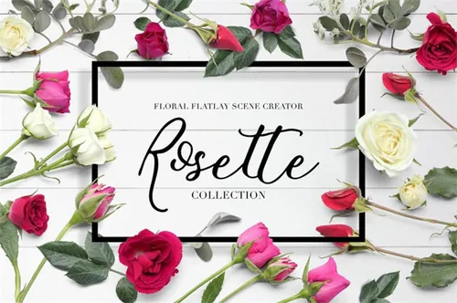花卉平面场景创作者 玫瑰 Floral Flatlay Scene Creator Rosette