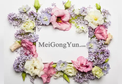 春季美丽花卉边框高清背景Spring Beautiful Floral