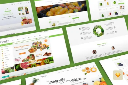 时尚高端简约多用途的有机健康食品蔬菜Web UI网站设计模板